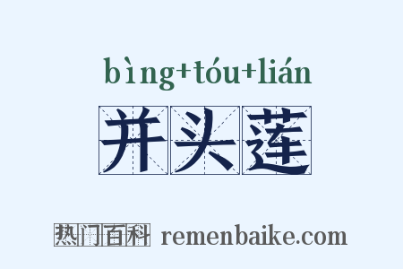 并头莲是什么意思的图片